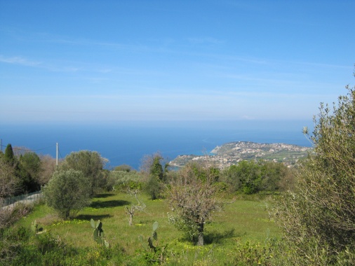 Villa Orsini | Architecturally Designed Villa NEWLY REDUCED